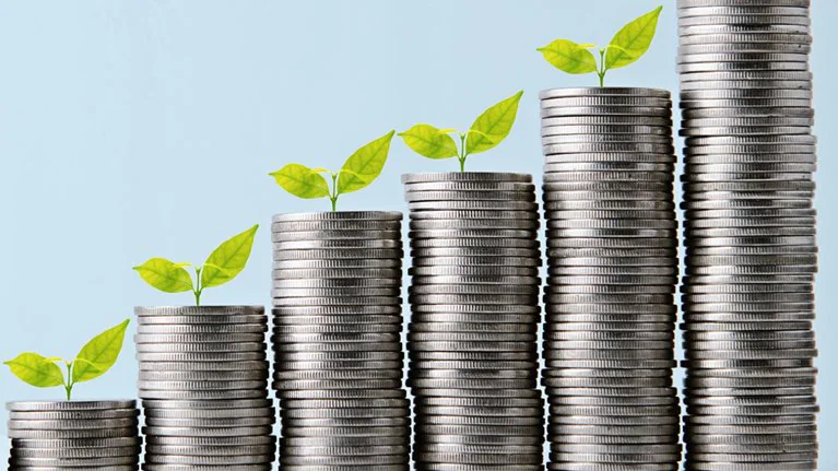 BetaCarbon: Leading Transformation in Climate Markets